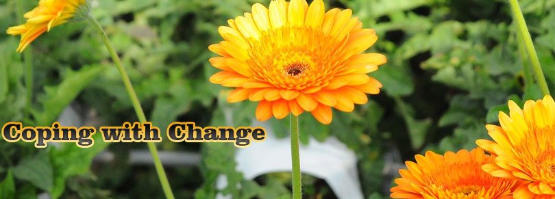 Coping with Change